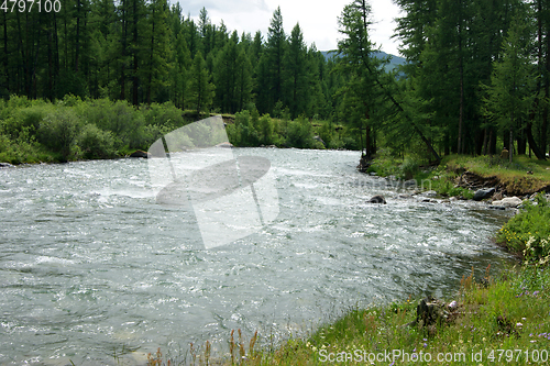 Image of Colorful type on bugle river and wood