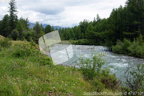 Image of Tempestuous mountain stream in mountain by summer