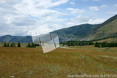 Image of High mountains and glade with wood year daytime
