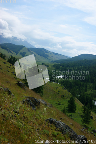 Image of Nature Republic Altai mountains and wood by summer