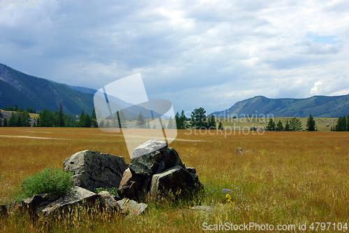 Image of High mountains and glade with wood year daytime