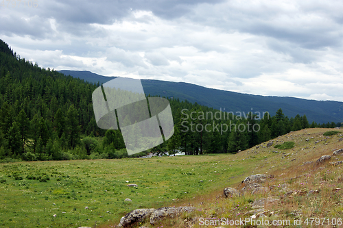 Image of Colorful year landscape with mountain and wood