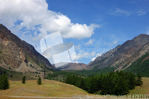 Image of Bright colorful landscape of the high mountains and wood
