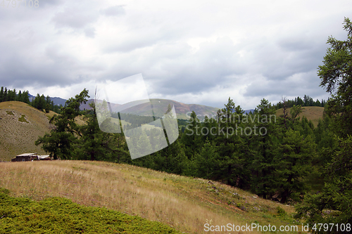 Image of Valley in mountain altai year daytime landscape