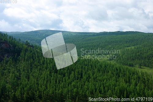 Image of Landscape of the mountains covered by wood year daytime
