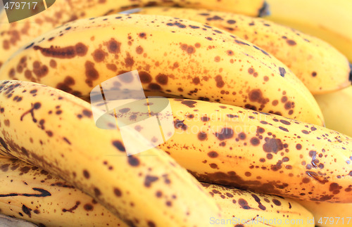 Image of Bananas