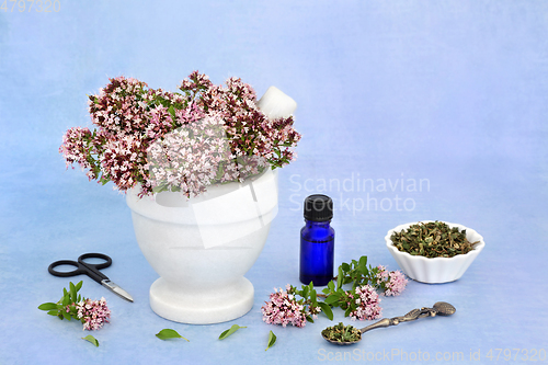 Image of Oregano Herb Essential Oil to Ease IBS Symptoms