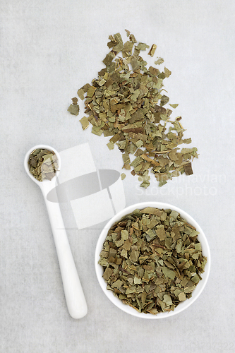 Image of Ash Herb Leaves for Herbal Medicine