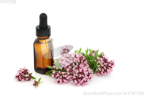 Image of Oregano Herbal Medicine Essential Oil