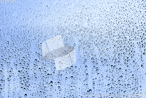 Image of Water drops on glass