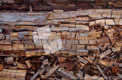 Image of Background with collapsing trunks of fallen trees