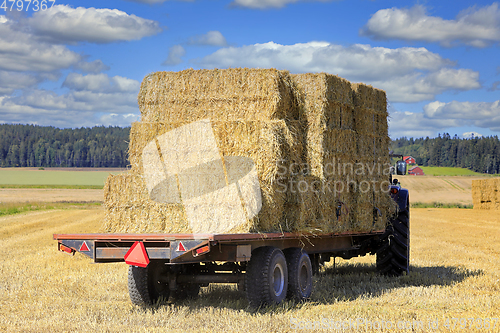 Image of Tractor with Load of Straw Bales on Trailer