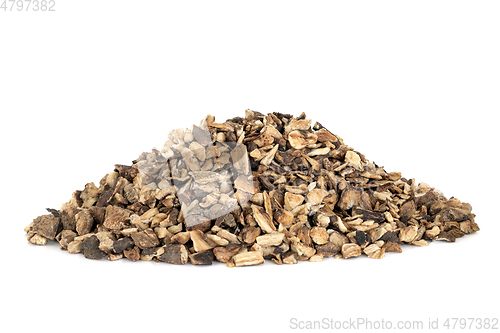 Image of Burdock Root Herb Herbal Medicine