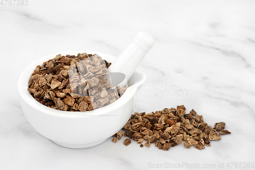 Image of Devils Claw Root Herbal Medicine