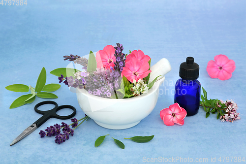 Image of Homeopathic Herbal Medicine with Summer Flowers and Herbs