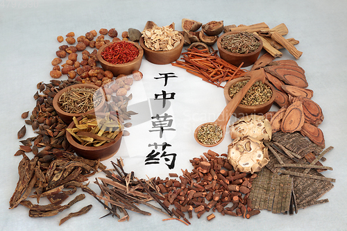 Image of Dried Chinese Herbs  