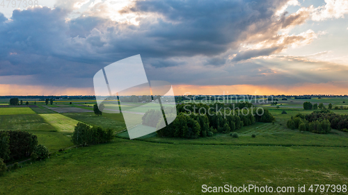 Image of Field with trees landscape from aerial