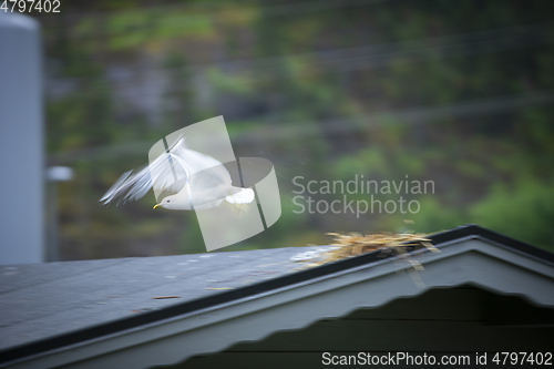Image of Untitled