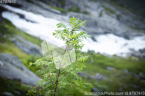 Image of Norwegian Water Fall