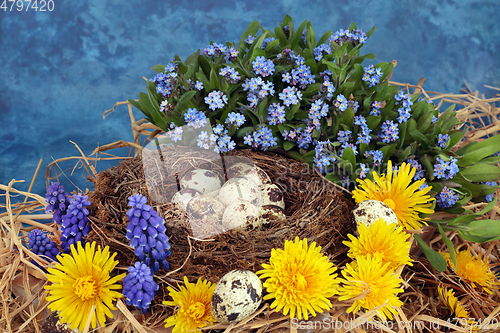 Image of Healthy Fresh Quail Eggs for Breakfast