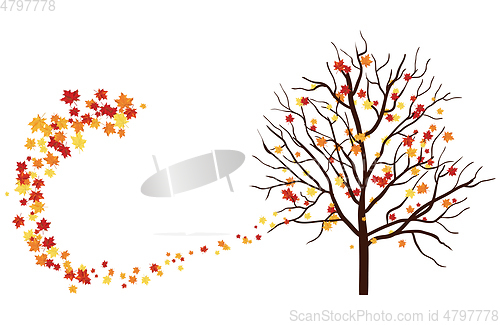 Image of Autumn
