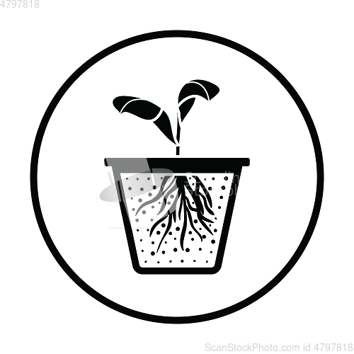 Image of Seedling icon
