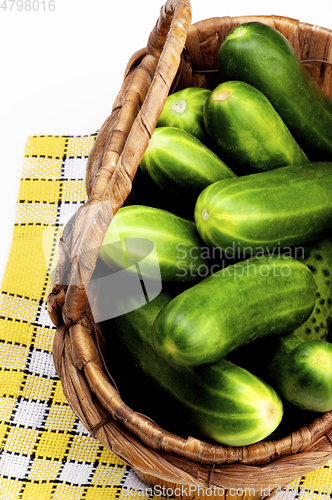 Image of Fresh Ripe Cucumbers