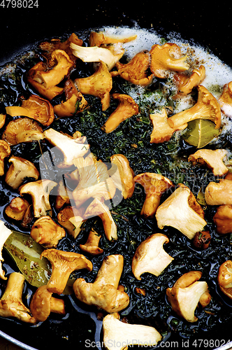 Image of Chanterelles Fried in Pan