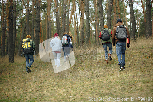 Image of Group of friends on a camping or hiking trip in autumn day