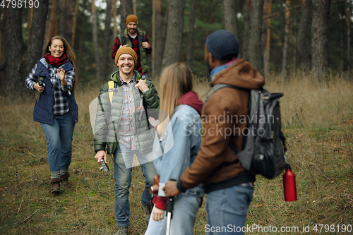 Image of Group of friends on a camping or hiking trip in autumn day