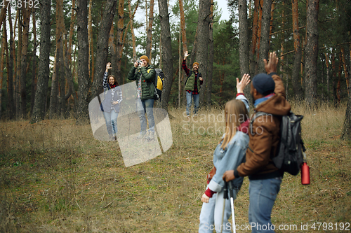 Image of Group of friends on a camping or hiking trip in autumn day