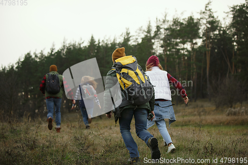 Image of Group of friends on a camping or hiking trip in autumn day