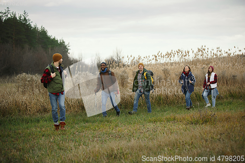 Image of Group of friends on a camping or hiking trip in autumn day