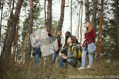 Image of Group of friends on a camping or hiking trip in autumn day