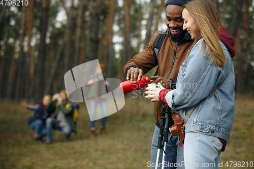 Image of Group of friends on a camping or hiking trip in autumn day