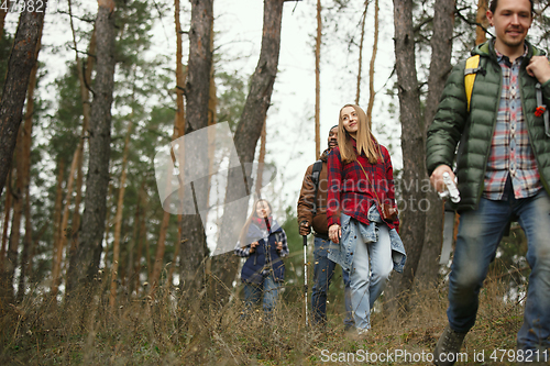 Image of Group of friends on a camping or hiking trip in autumn day