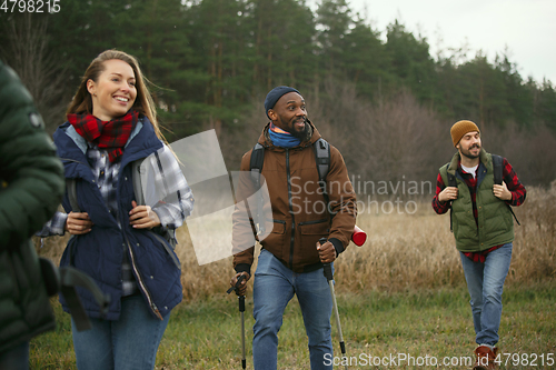 Image of Group of friends on a camping or hiking trip in autumn day