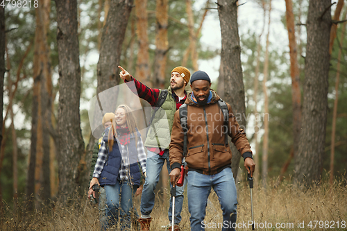 Image of Group of friends on a camping or hiking trip in autumn day