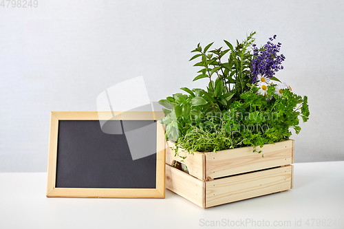 Image of herbs and flowers in wooden box with chalkboard