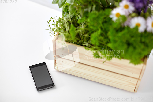 Image of smartphone with herbs and flowers in box