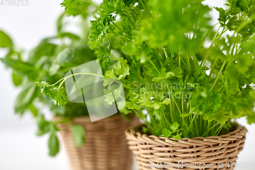 Image of close up of parsley herb in wicker basket