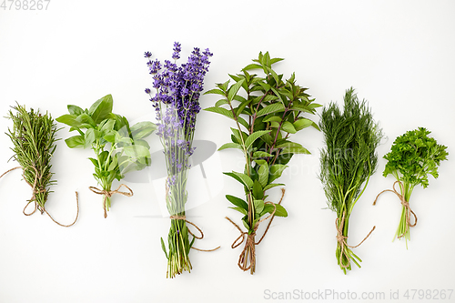 Image of greens, spices or medicinal herbs on white