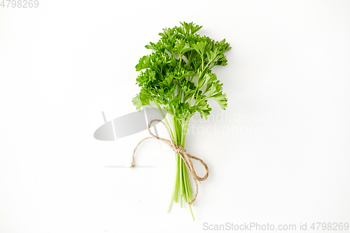 Image of bunch of parsley on white background