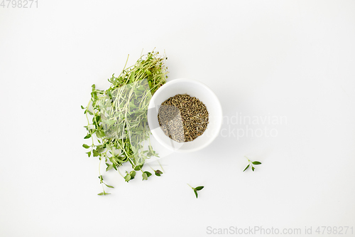 Image of fresh thyme and dry seasoning on white background