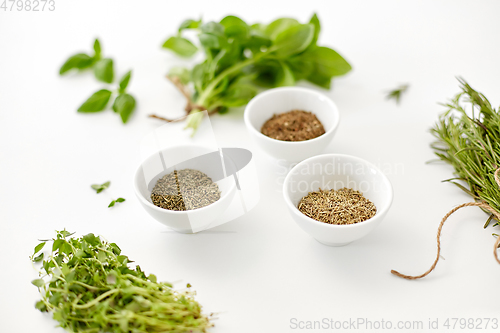 Image of fresh and dry seasoning on white background