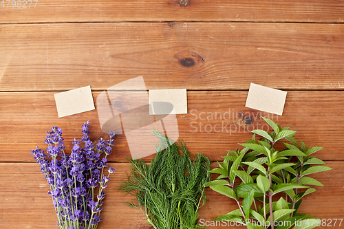 Image of lavender, dill and peppermint on wooden background