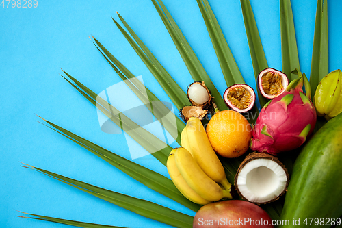 Image of different exotic fruits on blue background