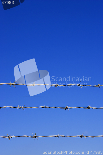 Image of Barbed wire fence detail