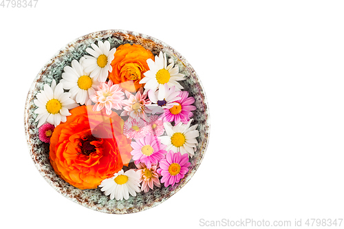 Image of Variation of flowers in bowl on white background