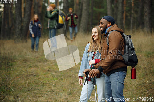 Image of Group of friends on a camping or hiking trip in autumn day